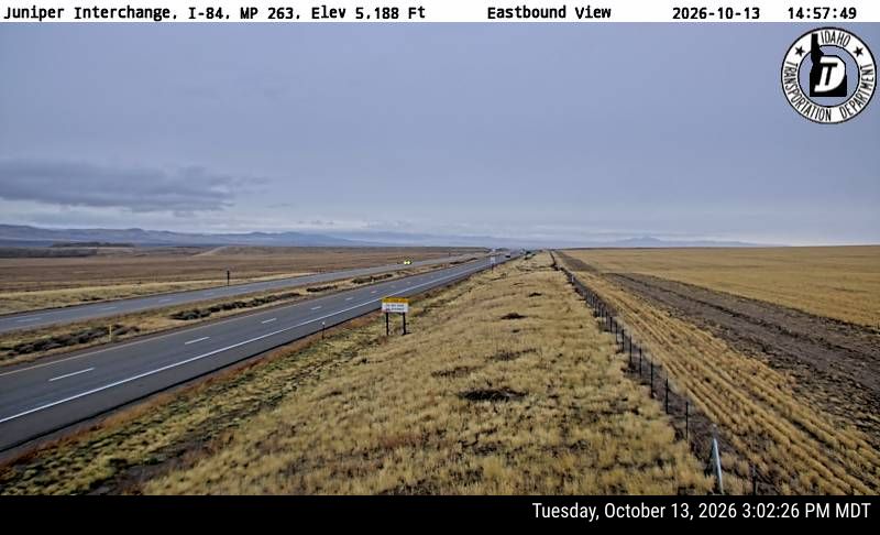 I-84 Juniper, view 2