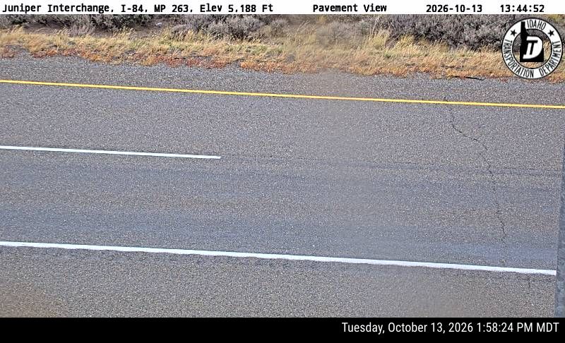 I-84 Juniper, view 3