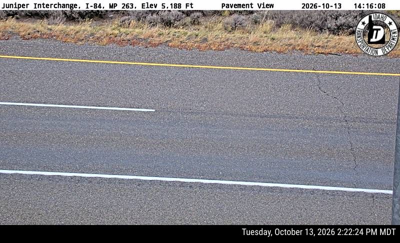 I-84 Juniper, view 3