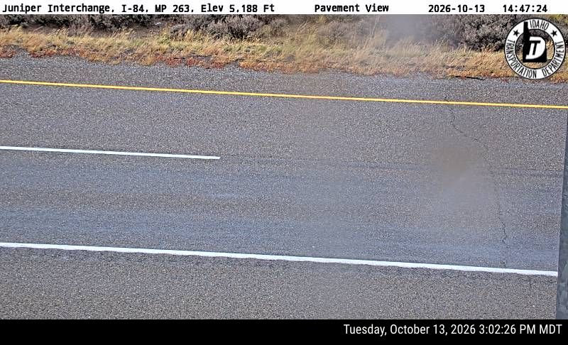 I-84 Juniper, view 3