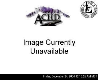 I-84 McDermott Rd
