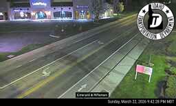 Emerald & Rifleman live webcam