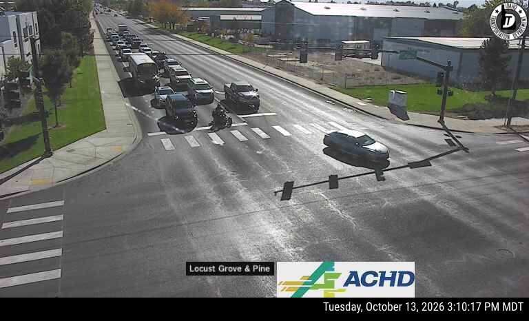 Locust Grove & Pine