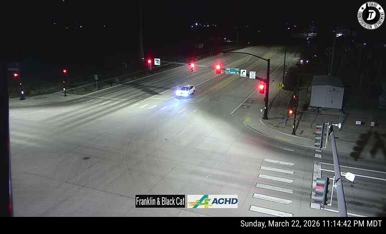 Franklin & Black Cat live webcam