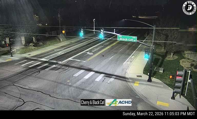 Cherry & Black Cat live webcam